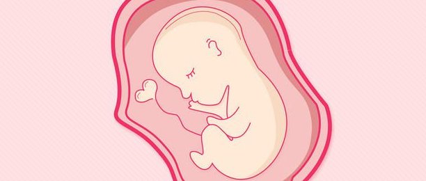 2026台州试管婴儿助孕机构权威排行，十大可靠机构榜单揭晓！