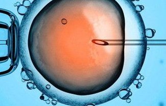 2026北京最正规的助孕机构及其流程介绍