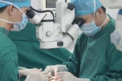 2026上海助孕生子最新试管费用参考，附权威私立助孕机构名单汇总