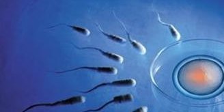 2026俄罗斯第三代试管婴儿医院费用介绍，俄罗斯试管医院价格